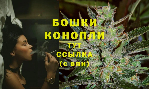 прущие грибы Нязепетровск