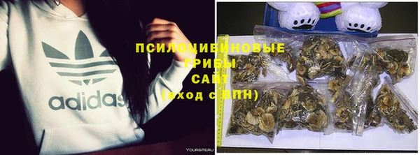 spice Новокубанск